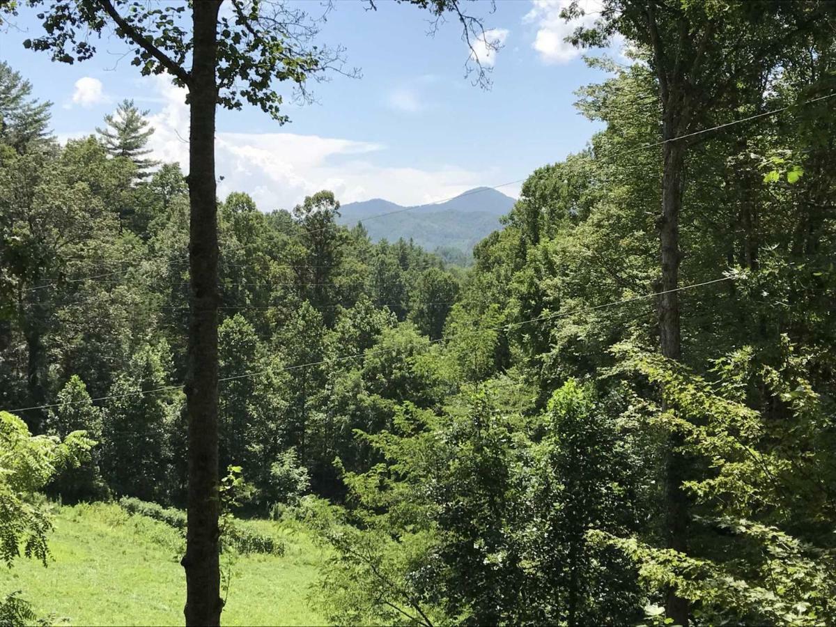 Moonshiner'S Hideaway Cabin Villa Bryson City Eksteriør billede